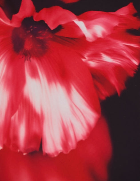 Oscar Cowl Neck Maxi Dress