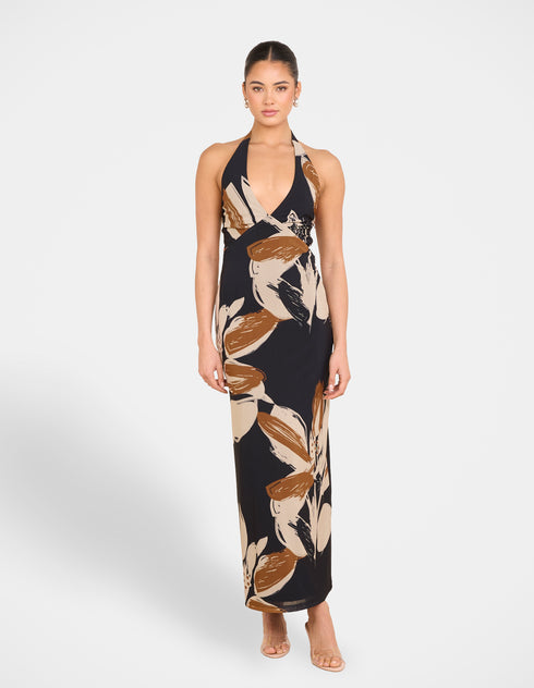 Zoya Print Mesh Maxi Dress