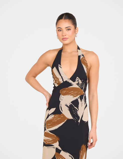 Zoya Print Mesh Maxi Dress