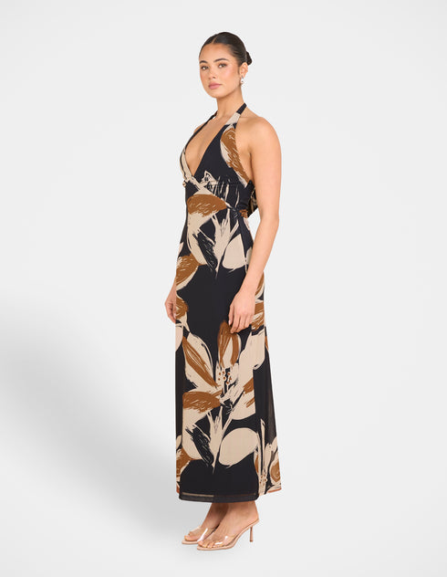 Zoya Print Mesh Maxi Dress