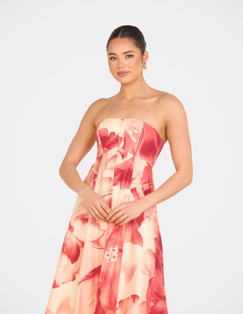 Arla Strapless Maxi Dress