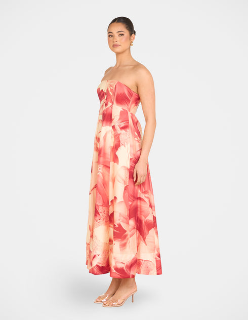 Arla Strapless Maxi Dress
