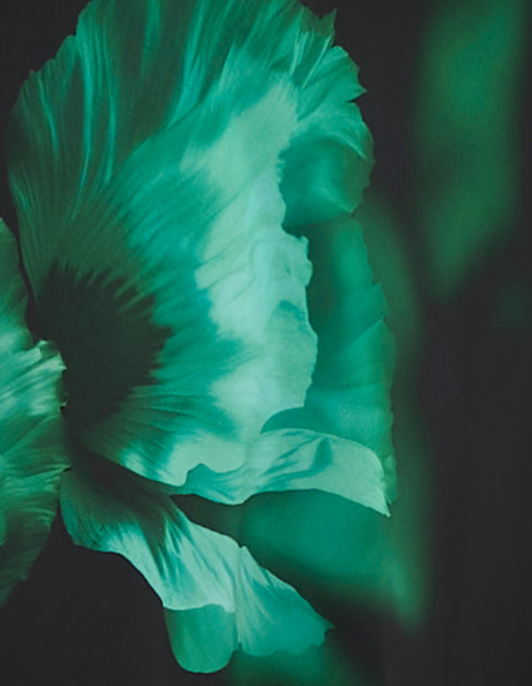 Oakley Cowl Neck Maxi Dress