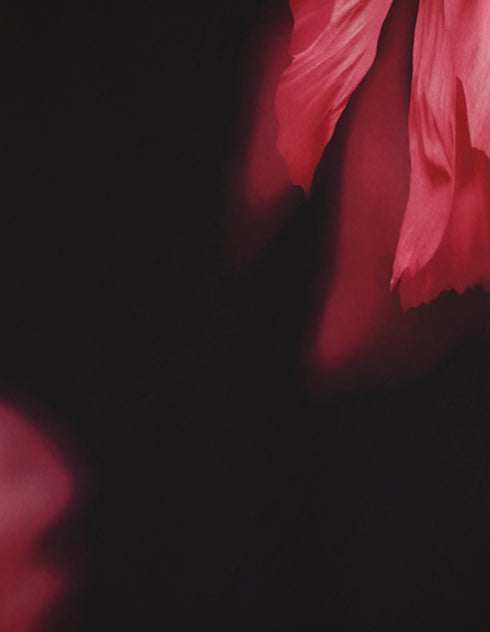 Harlow Cowl Neck Maxi Dress