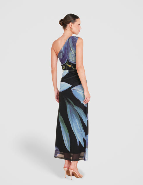 Paris Printed Mesh Maxi Dress