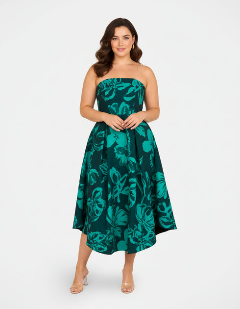 Dayna Strapless A-line Dress